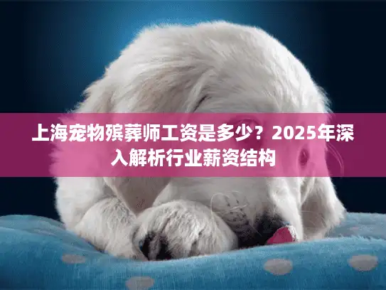 上海宠物殡葬师工资是多少？2025年深入解析行业薪资结构