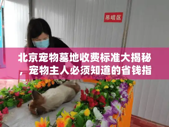 北京宠物墓地收费标准大揭秘，宠物主人必须知道的省钱指南
