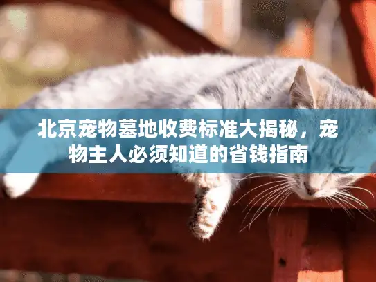 北京宠物墓地收费标准大揭秘，宠物主人必须知道的省钱指南