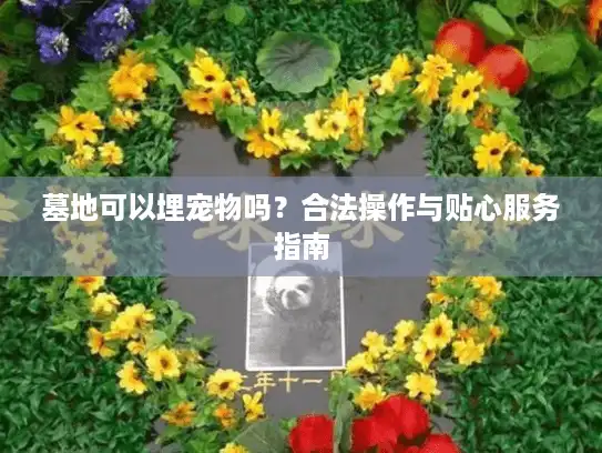 墓地可以埋宠物吗？合法操作与贴心服务指南