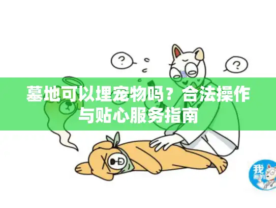 墓地可以埋宠物吗？合法操作与贴心服务指南