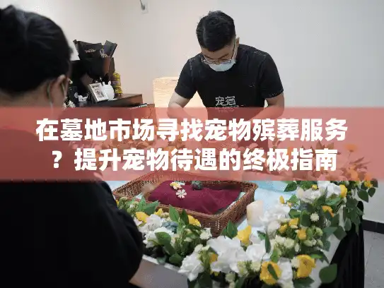 在墓地市场寻找宠物殡葬服务？提升宠物待遇的终极指南