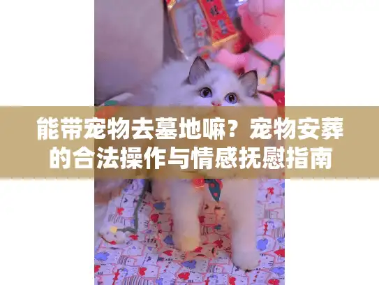 能带宠物去墓地嘛？宠物安葬的合法操作与情感抚慰指南