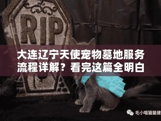 大连辽宁天使宠物墓地服务流程详解？看完这篇全明白