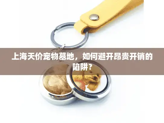 上海天价宠物墓地，如何避开昂贵开销的陷阱？