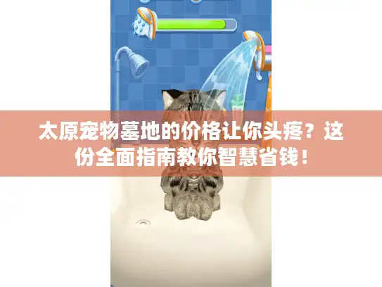 太原宠物墓地的价格让你头疼？这份全面指南教你智慧省钱！
