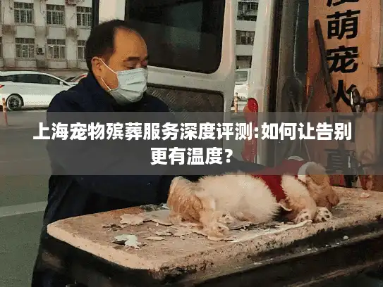 上海宠物殡葬服务深度评测:如何让告别更有温度？