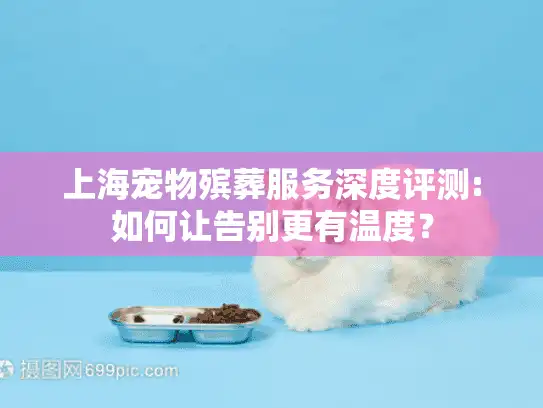 上海宠物殡葬服务深度评测:如何让告别更有温度？