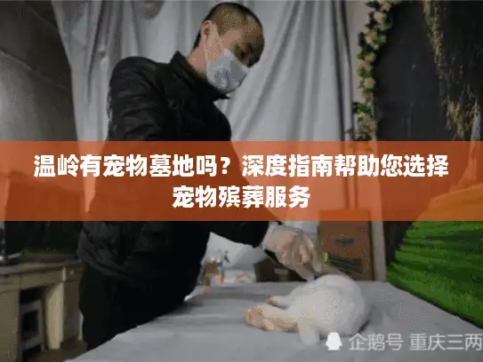 温岭有宠物墓地吗？深度指南帮助您选择宠物殡葬服务