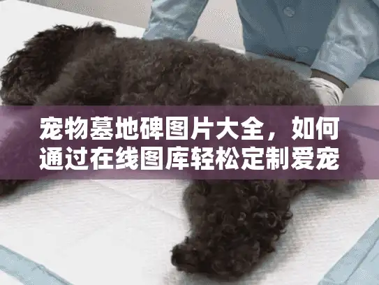 宠物墓地碑图片大全，如何通过在线图库轻松定制爱宠纪念碑？