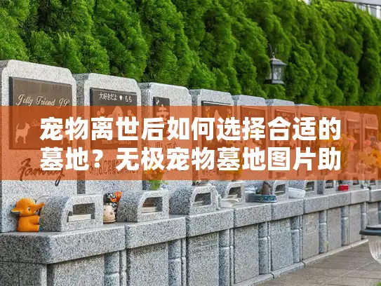 宠物离世后如何选择合适的墓地？无极宠物墓地图片助你安心告别