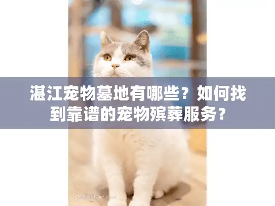湛江宠物墓地有哪些？如何找到靠谱的宠物殡葬服务？