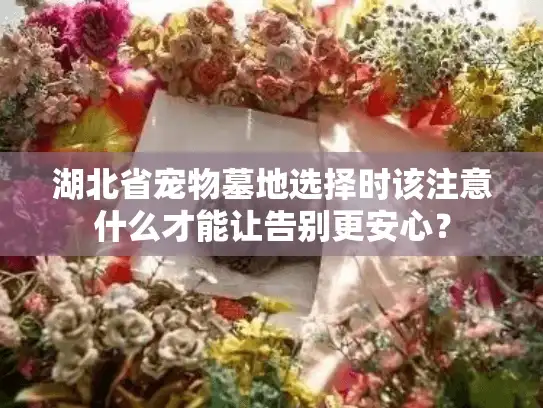 湖北省宠物墓地选择时该注意什么才能让告别更安心？