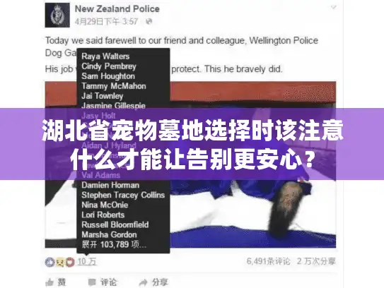 湖北省宠物墓地选择时该注意什么才能让告别更安心？