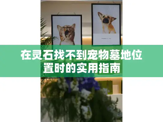 在灵石找不到宠物墓地位置时的实用指南