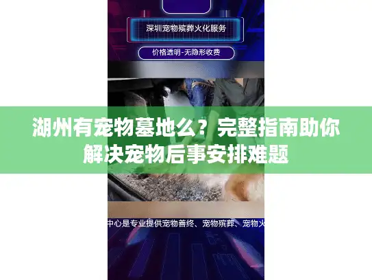 湖州有宠物墓地么？完整指南助你解决宠物后事安排难题