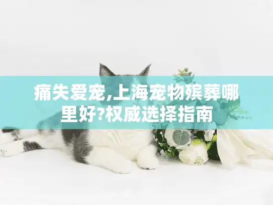 痛失爱宠,上海宠物殡葬哪里好?权威选择指南