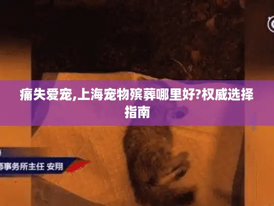 痛失爱宠,上海宠物殡葬哪里好?权威选择指南