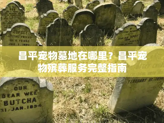 昌平宠物墓地在哪里？昌平宠物殡葬服务完整指南
