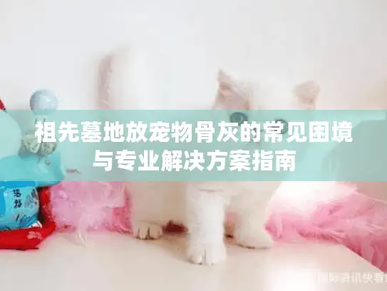 祖先墓地放宠物骨灰的常见困境与专业解决方案指南