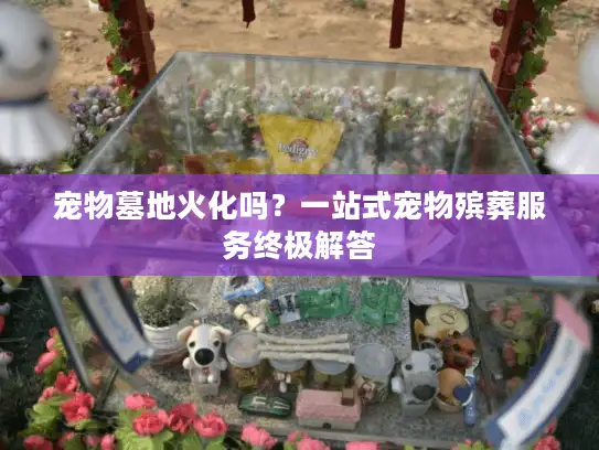 宠物墓地火化吗？一站式宠物殡葬服务终极解答