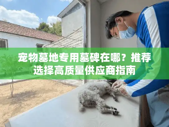 宠物墓地专用墓碑在哪？推荐选择高质量供应商指南