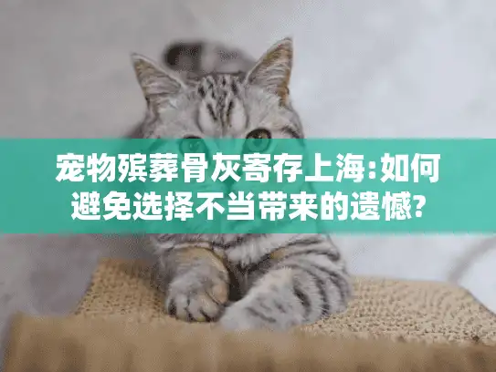 宠物殡葬骨灰寄存上海:如何避免选择不当带来的遗憾?