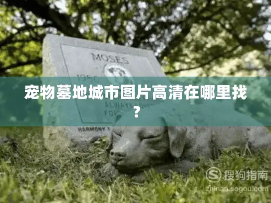 宠物墓地城市图片高清在哪里找？