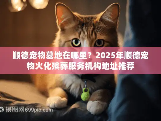 顺德宠物墓地在哪里？2025年顺德宠物火化殡葬服务机构地址推荐