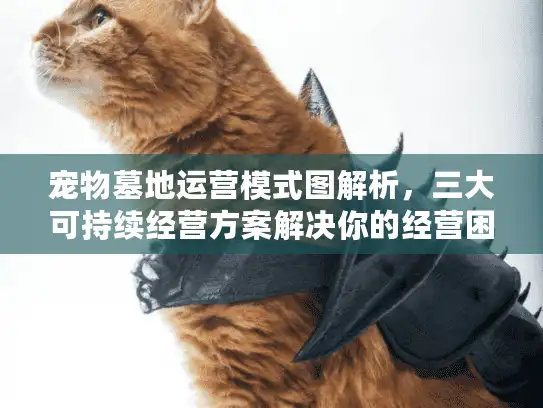 宠物墓地运营模式图解析，三大可持续经营方案解决你的经营困境