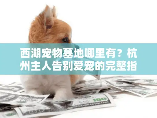 西湖宠物墓地哪里有？杭州主人告别爱宠的完整指南