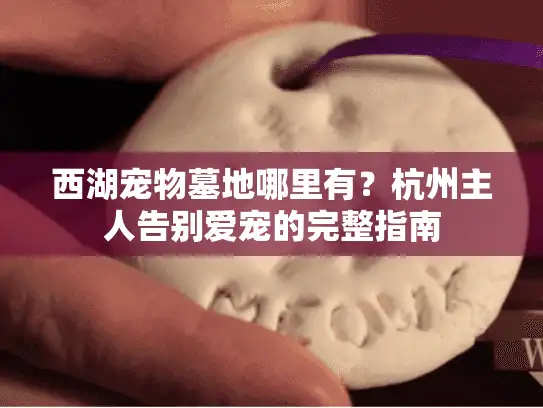西湖宠物墓地哪里有？杭州主人告别爱宠的完整指南
