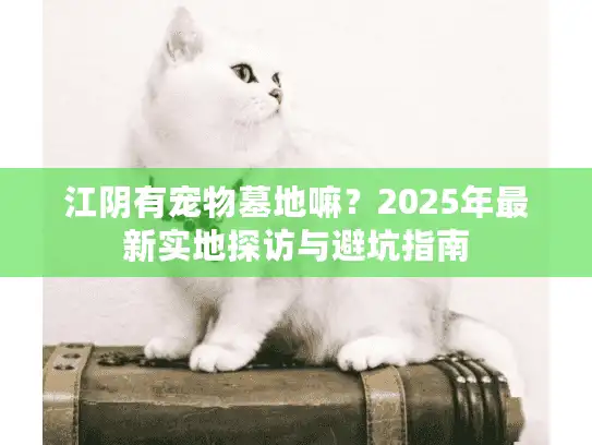 江阴有宠物墓地嘛？2025年最新实地探访与避坑指南