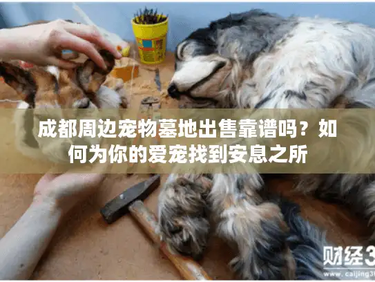成都周边宠物墓地出售靠谱吗？如何为你的爱宠找到安息之所
