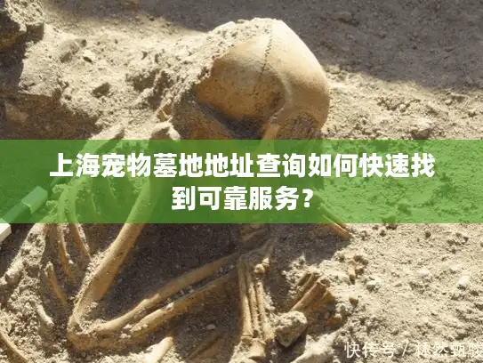 上海宠物墓地地址查询如何快速找到可靠服务？