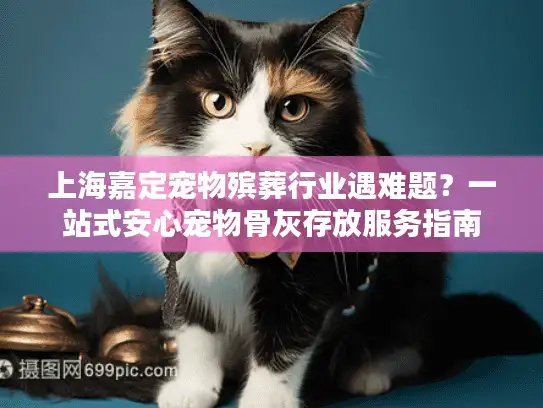 上海嘉定宠物殡葬行业遇难题？一站式安心宠物骨灰存放服务指南