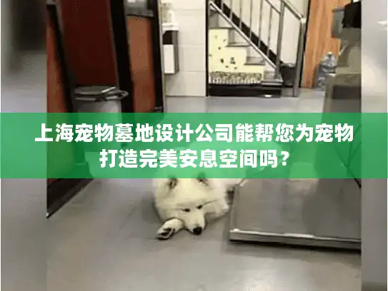 上海宠物墓地设计公司能帮您为宠物打造完美安息空间吗？