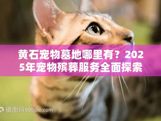 黄石宠物墓地哪里有？2025年宠物殡葬服务全面探索指南