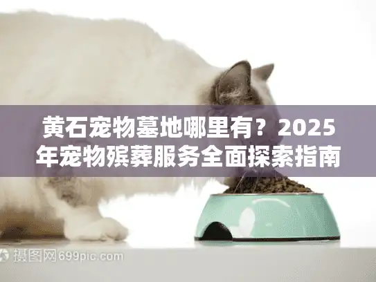黄石宠物墓地哪里有？2025年宠物殡葬服务全面探索指南