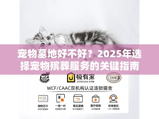宠物墓地好不好？2025年选择宠物殡葬服务的关键指南