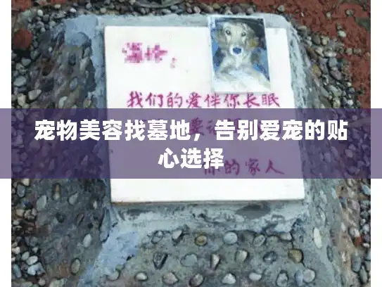 宠物美容找墓地，告别爱宠的贴心选择