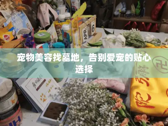 宠物美容找墓地，告别爱宠的贴心选择