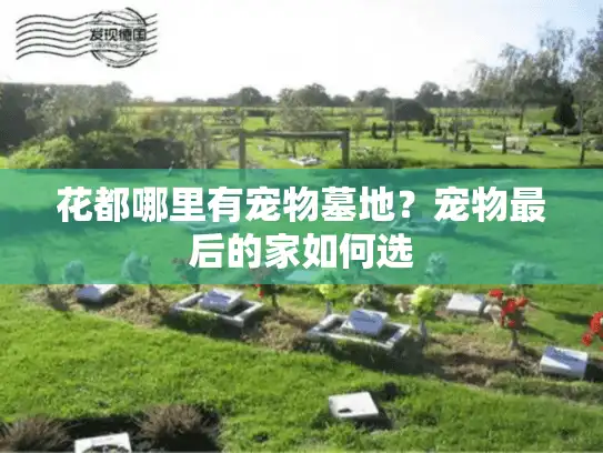 花都哪里有宠物墓地？宠物最后的家如何选
