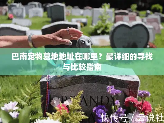 巴南宠物墓地地址在哪里？最详细的寻找与比较指南