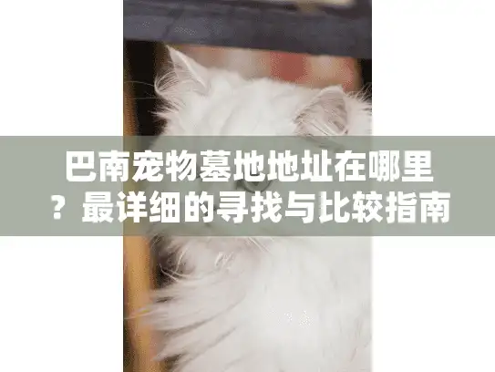 巴南宠物墓地地址在哪里？最详细的寻找与比较指南