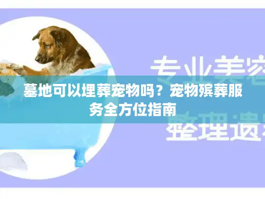 墓地可以埋葬宠物吗？宠物殡葬服务全方位指南