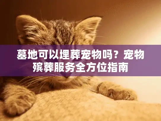 墓地可以埋葬宠物吗？宠物殡葬服务全方位指南