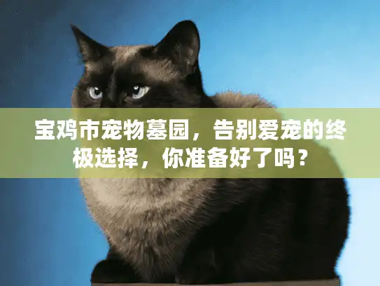 宝鸡市宠物墓园，告别爱宠的终极选择，你准备好了吗？