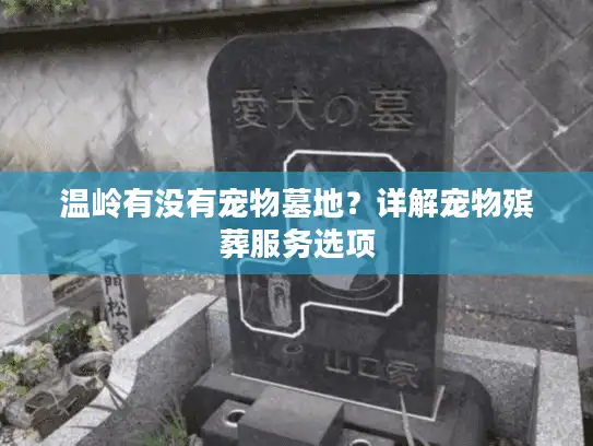 温岭有没有宠物墓地？详解宠物殡葬服务选项