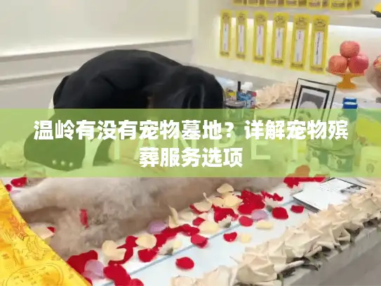 温岭有没有宠物墓地？详解宠物殡葬服务选项